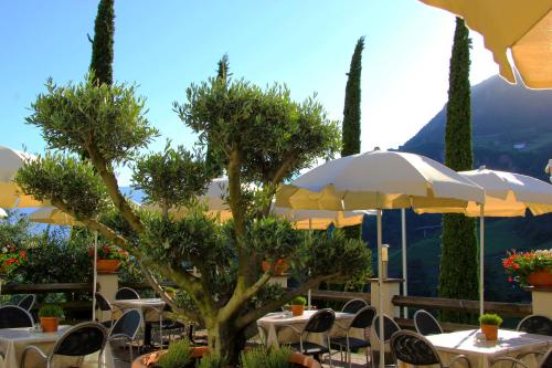 Hotel Hanny in Bozen