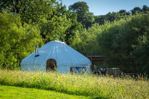 Ceridwen Glamping, double decker bus and Yurts