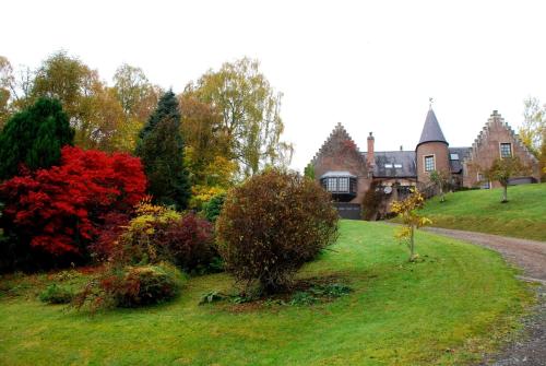 Highland Bear Lodge & Luxury Bear Huts - image 8