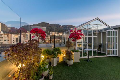 ระเบียง/ชานเรือน, Hotel Regina in โบโกตา ซิตี้ เซ็นเตอร์