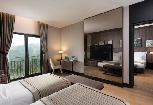1 queen bed, 2 twin beds, 2 sofa beds