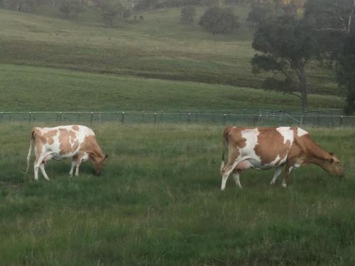 Donegal Farmstay