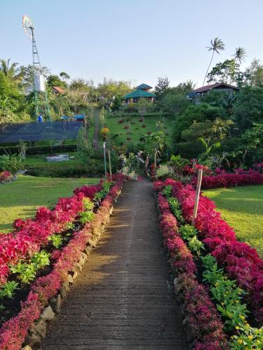 Yumi's Farm