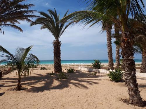 สวน, Beachhaus Praia de Chaves in ราบิล