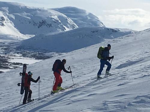 Lapphaugen Turiststasjon - Accommodation - Tennevoll