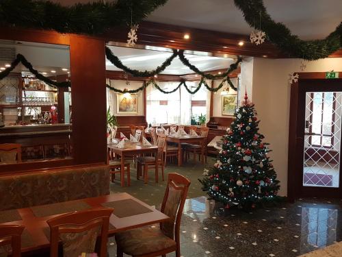 Guesthouse Veranda - image 3