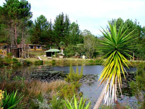 Hindthausen in Knysna Csúcs