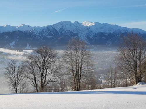 Willa Chycówka Willa Chycówka