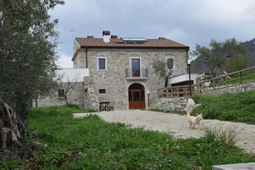  Fattoria Il Giardino dei Ciliegi, Montemitro bei Castiglione Messer Marino