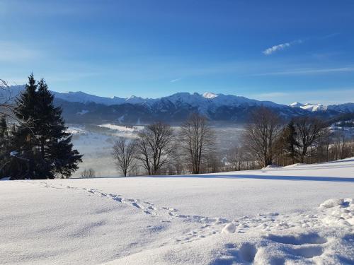 Willa Chycówka Willa Chycówka