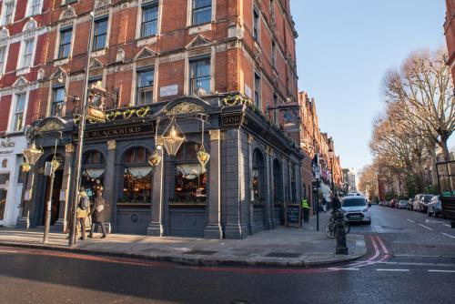 Blackbird, Londres