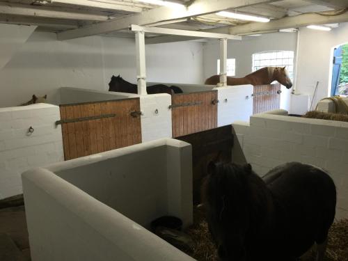 Ferienhof Utech - image 14