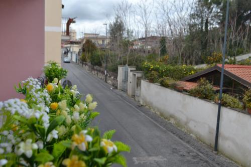 B&B Casa Di Lauro in Трекасе