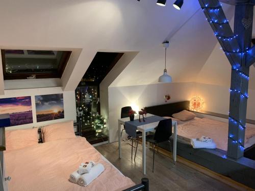 Quadruple Studio with Terrace