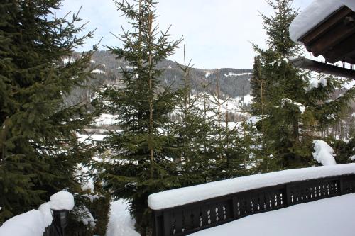 Chalet Heidi BKK - Bad Kleinkirchheim