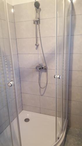 Zuhanyzó, Villa ALEX in Slatina