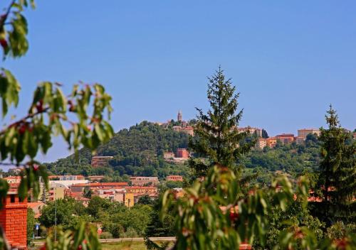  2BDR app with WiFi, 199 in Vinež