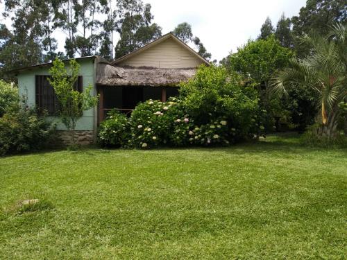 3 bedrooms, 5 beds