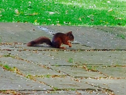 The Shore House - main image