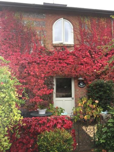 The Dovecote, Stoke Farthing Courtyard - Accommodation - Broad Chalke