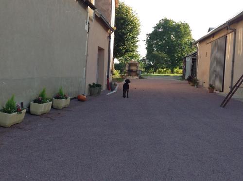 Au rendez-vous des copains gîte à louer La Rue