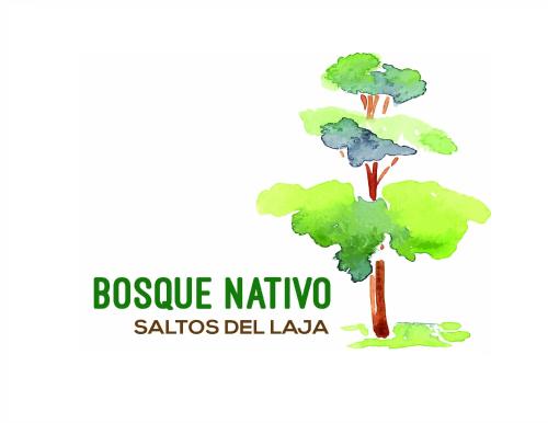 . Bosque Nativo