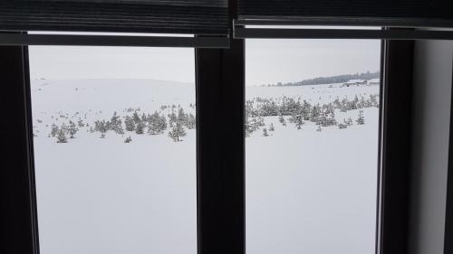 VNB apartman Tornik-Zlatibor - image 3