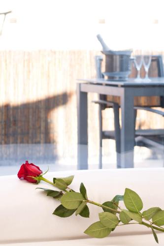 Aparthotel Atenea Calabria - image 5