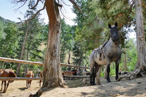 Bill Cody Ranch