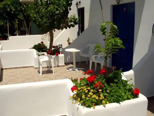 Oasis Apartments