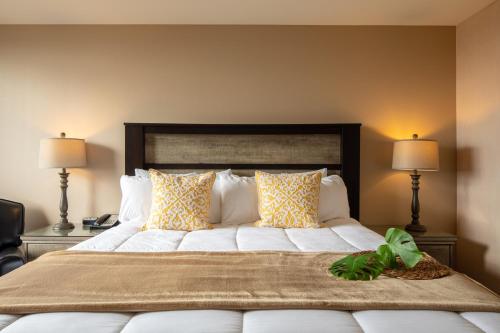 Standard King Room