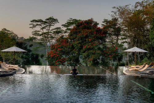 MesaStila