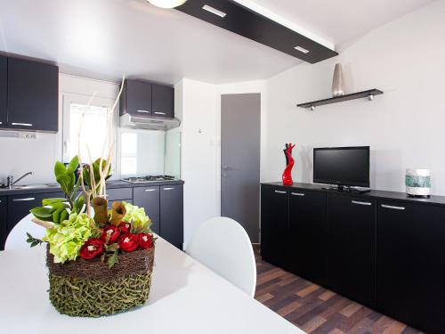 Superior Mobile Homes In Camping Kastanija Novigrad Booking Deals Photos Reviews
