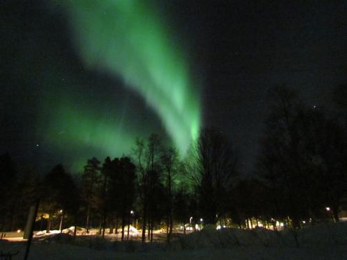 Lapland Lodge - image 8