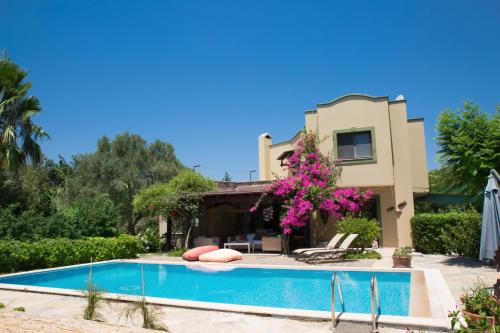  Important Group | Villa Costa, Pension in Ortakentyahşi