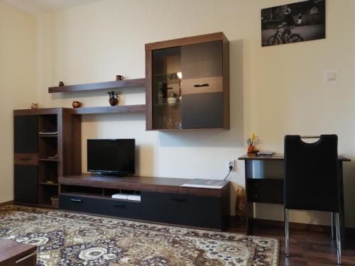 Central Academic Apartment Sofia, Sofia (foto 6)