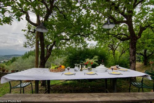  La Casina dei Frati in Lucca