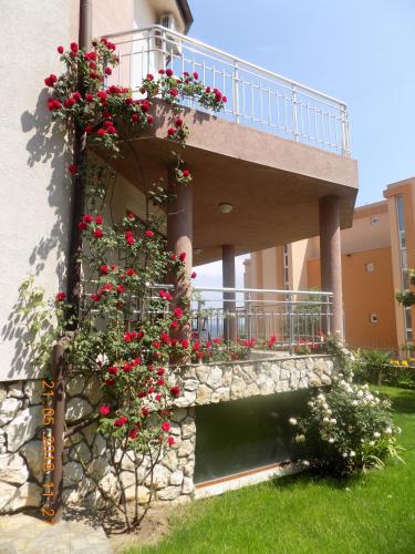 A szálláshely kívülről, Zenith Guest House in Sozopol