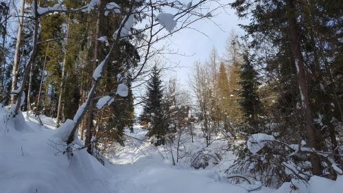 Bacówka w sercu gór - dom z bali w Gorcach Bacówka w sercu gór - dom z bali w Gorcach