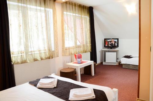 Pensiunea Happy Inn - image 2