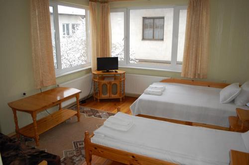 Borova House - image 8