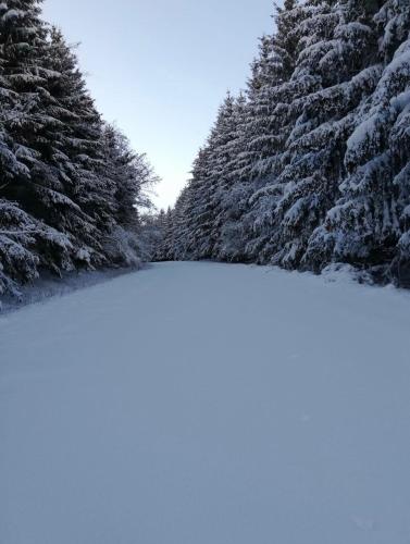 Pöhl am Nationalpark Eifel