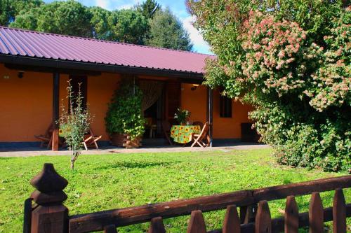  AZIENDA AGRICOLA ARMANDO IACCHELLI, Velletri bei Monte Porzio Catone