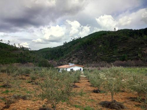 REFÚGIO DO RAPOSO/CASA DA RIBEIRA (AGROTURISMO)