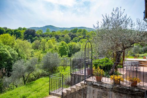  La Tancherina in Meleto