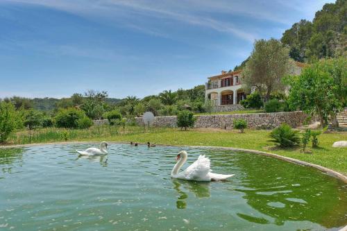 Finca Plomera, Pollensa (zdjęcie 9)