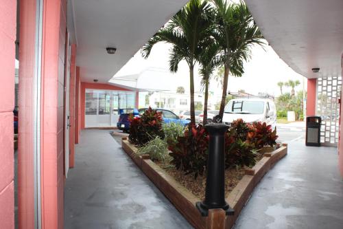 Cove Motel Oceanfront Room Type - No View - Two Double Beds Cove Motel Oceanfront Room Type - No View - Two Double Beds