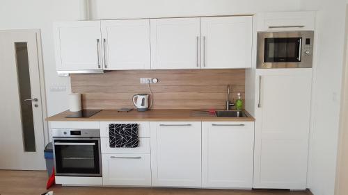 Apartman Alfa 11 in Cerny Dul