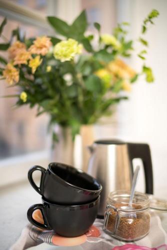 Wasa Park Hotel - image 12