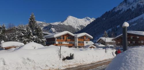  Landhaus Thaler in Mittelberg